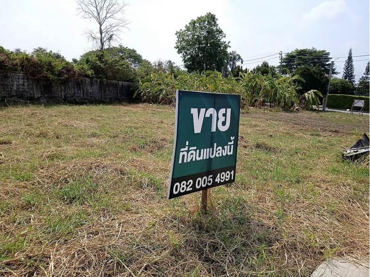 ขายที่ดินในหมู่บ้านเนเบอร์โฮม สุขาภิบาล5 รูปที่ 3