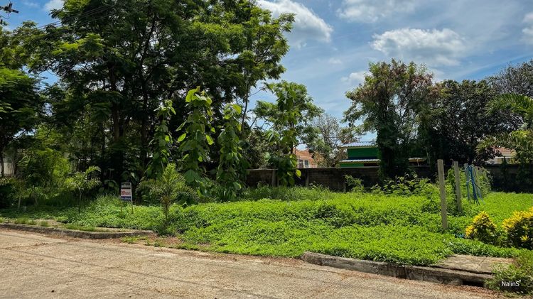 ขายที่ดิน 89 ตร.วา หมู่บ้าน Forest Park คลองสามวา ใกล้ IFB และซาฟารีเวิลด์ รูปที่ 3