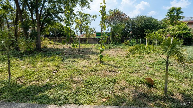 ขายที่ดิน 89 ตร.วา หมู่บ้าน Forest Park คลองสามวา ใกล้ IFB และซาฟารีเวิลด์ รูปที่ 2