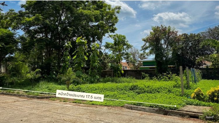 ขายที่ดิน 89 ตร.วา หมู่บ้าน Forest Park คลองสามวา ใกล้ IFB และซาฟารีเวิลด์