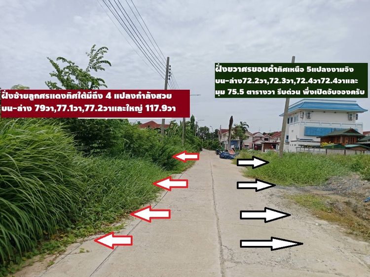 ขายที่จัดสรรถมหมู่บ้านลานทอง ปากเกร็ดไอเทมลับ 164.3 ตารางวา ไม่ลงป้าย ไอเทมลับ ที่ดินเก็บไว้ไม่ลงป้ายด้านหน้าตรงแนวเดียวกับอพาร์ทเม้นท์สร้าง