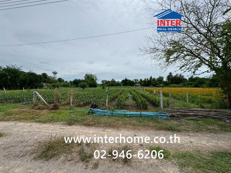 ที่ดินเปล่า 300 ตร.ว. ที่ดินเปล่า ใกล้วัดเกาะตาพุด ถนนทางหลวงชนบท รบ.4042 โพธาราม ราชบุรี รูปที่ 2