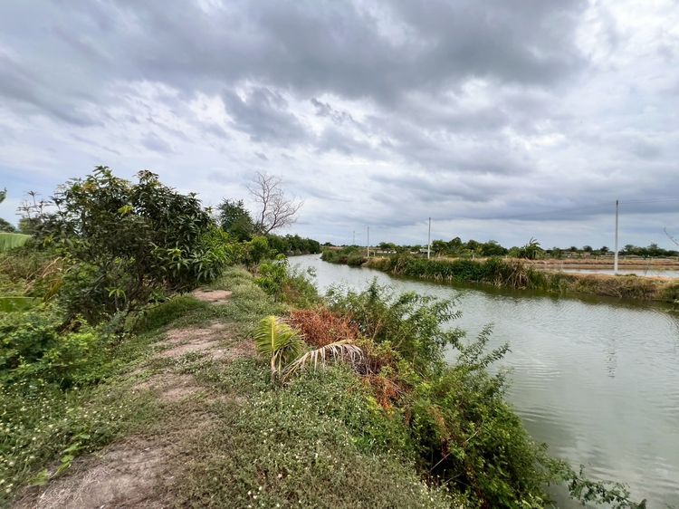 ขายที่ดิน เนื้อที่ 21ไร่ อ.บางเลน นครปฐม ทำสวนผสม รูปที่ 4