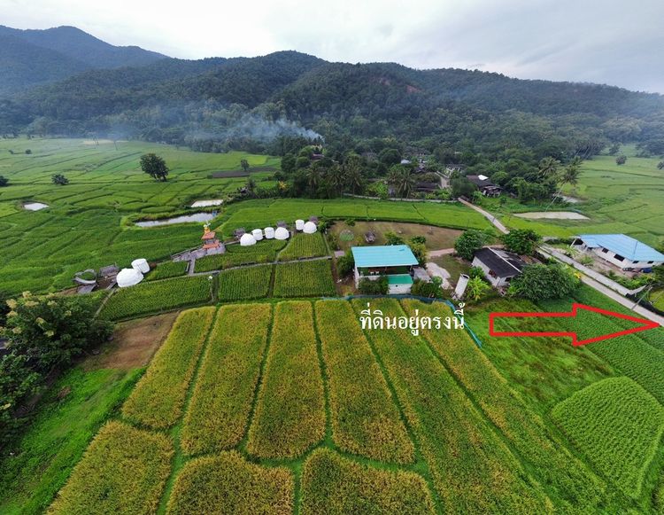 ขายด่วน ที่ดินเปล่าโฉนดครุฑแดง 1 ไร่ 2 งาน 15 ตร.ว.อ.แม่ทะ ลำปาง ทำเลดี ติดทางสาธารณะ รูปที่ 1