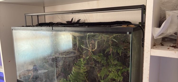mius ultraclear terarium 90x45x60 รูปที่ 3