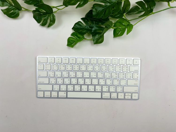 เม้าส์ และคีย์บอร์ด Apple Magic Keyboard 2 (Lightning) 