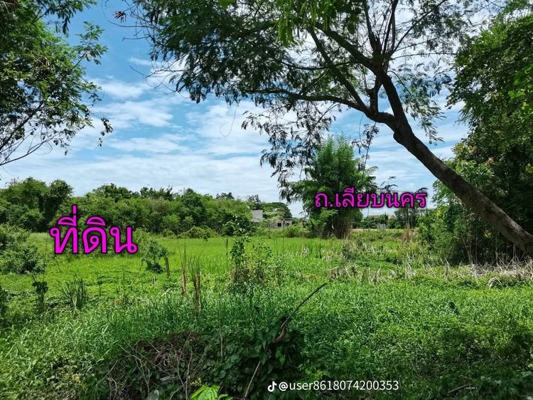 ที่ดินเปล่าในเมืองโคราช
