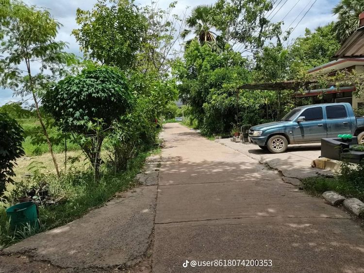 ที่ดินเปล่าในเมืองโคราช รูปที่ 2