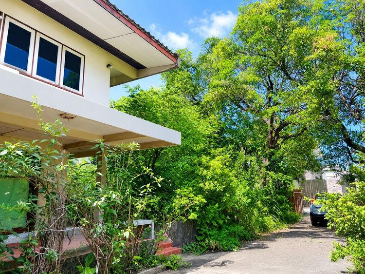  ขายที่ดินลาดพร้าว พร้อมสิ่งปลูกสร้าง 398 ตร.ว. ซอยลาดพร้าว 1 แยก 4-5 ใกล้ Central ลาดพร้าว และ MRT พหลโยธิน รูปที่ 4
