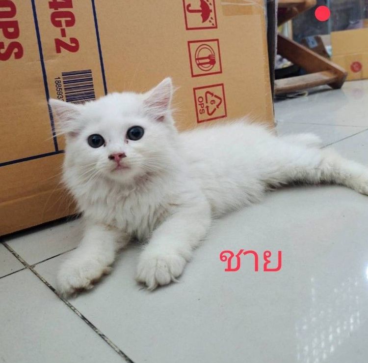 กรุงเทพฯ​