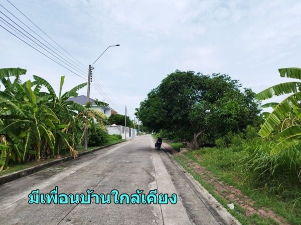 ขายที่ดินเปล่า 77 ตร.วา ม.ชัยพฤกษ์ 1 สุวินทวงศ์ เจ้าของขายเอง ขายต่ำกว่าราคาประเมิน ใกล้สุวรรณภูมิ รูปที่ 2