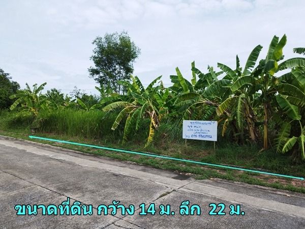 ขายที่ดินเปล่า 77 ตร.วา ม.ชัยพฤกษ์ 1 สุวินทวงศ์ เจ้าของขายเอง ขายต่ำกว่าราคาประเมิน ใกล้สุวรรณภูมิ  รูปที่ 4