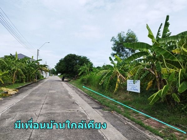 ขายที่ดินเปล่า 77 ตร.วา ม.ชัยพฤกษ์ 1 สุวินทวงศ์ เจ้าของขายเอง ขายต่ำกว่าราคาประเมิน ใกล้สุวรรณภูมิ  รูปที่ 3