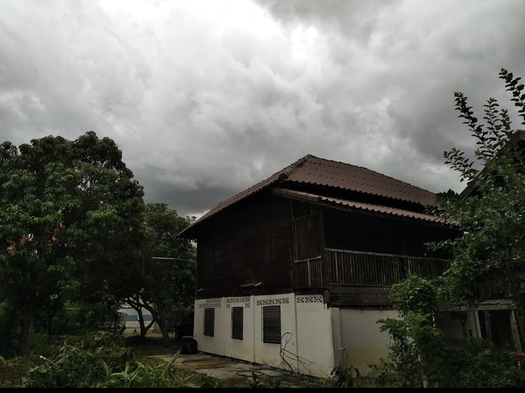 ขายบ้านไม้สักพร้อมที่ดิน กลางเมืองลำปาง แถวศาลากลางเก่าติดศาลหลักเมือง ใก้ลกาดกองต้า ทำเลนี้หาไม่ได้อีกแล้ว รูปที่ 3