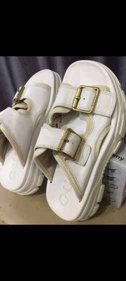 crocs gucci รูปที่ 13