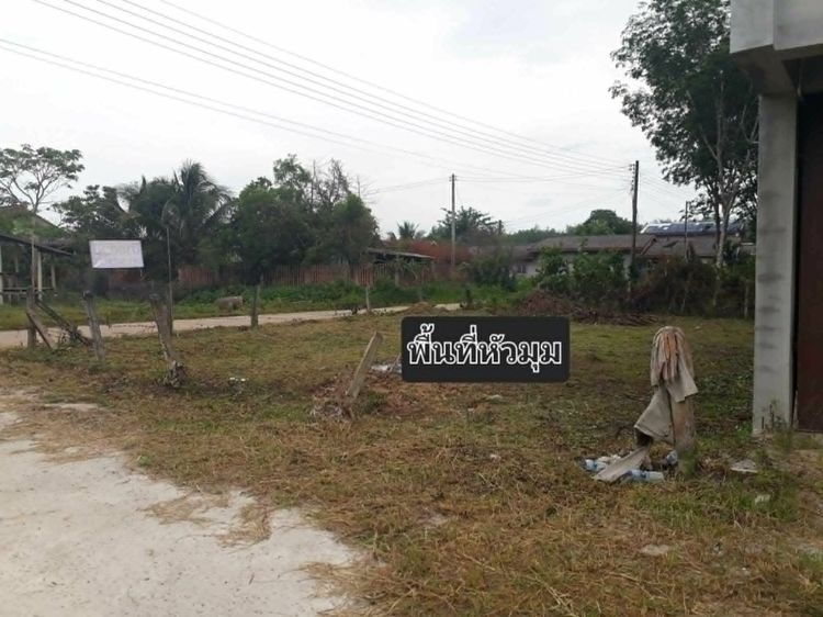 ขายด่วนที่สะบ้าย้อย2ห้องน้ำไม่ท่วม รูปที่ 3