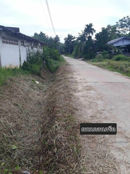 ขายด่วนที่สะบ้าย้อย2ห้องน้ำไม่ท่วม รูปที่ 4