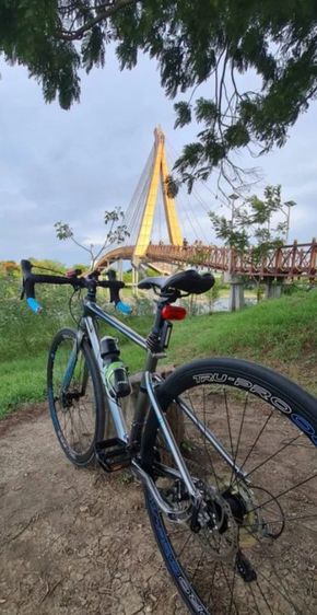 เสือหมอบ LA รุ่น Tru-Pro เกี่ยร์ 24 Speed ใช้งานน้อย ใหม่95% รูปที่ 3
