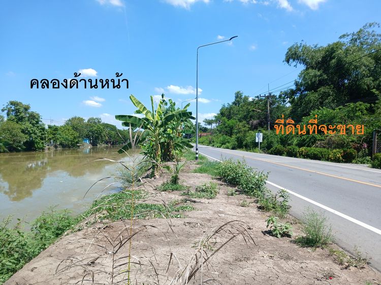 ขายที่ดิน 39 ไร่ 63 ตารางวา พร้อมสวนปาล์มน้ำมัน คลอง 12 ติดถนน 4 ด้าน รูปที่ 4