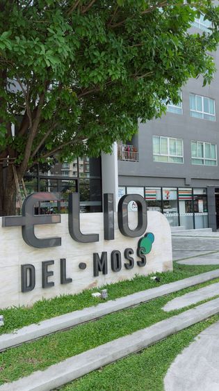 ไม่อนุญาต ตกแต่งครบ Elio Del Moss พหลโยธิน 34 