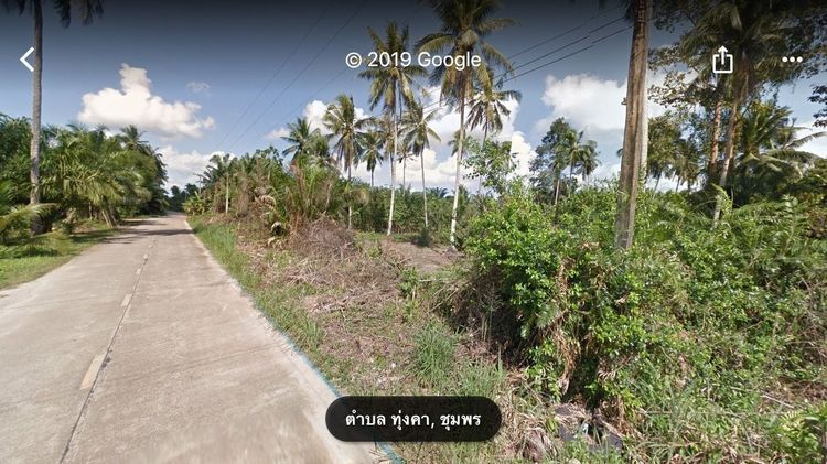 ขายที่ดิน 70 ไร่ ต.ทุ่งคา อ.เมือง จ.ชุมพร  (มีแบ่งแปลง 8-10 ไร่)