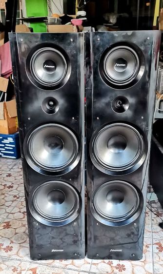 ลำโพงขนาดใหญ่ ลำโพง sherman 10"
