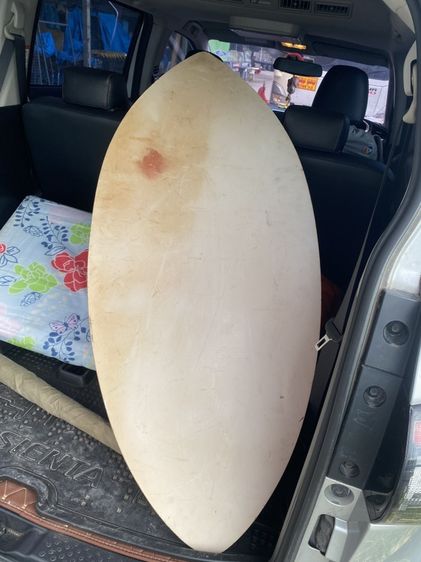 สกิม บอร์ด ยี่ห้อzap skimboards รูปที่ 2