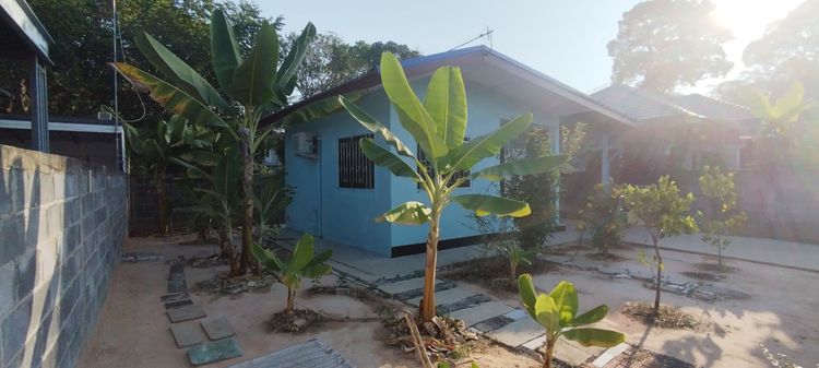 มีบางส่วน 2025 ขายบ้านเดี่ยวชั้นเดียว มือสอง แสนสุข วารินชำราบ อายุปีกว่าๆ บนที่ดิน 50.3 ตรว ขายราคาทุน ราคา 1.1ล้านบาท รูปที่ 4