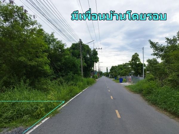 ขายถูก ที่ดินเปล่า 130 ตร.วา โครงการวังวิเศษกรุ้ป อ.วังน้อย อยุธยา เพียง 9 แสนบาท แปลงรูปสี่เหลี่ยมสวย ติดถนนลาดยางกว้าง เหมาะสร้างบ้าน รูปที่ 4