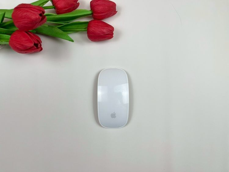 Apple Magic Mouse (Lightning)