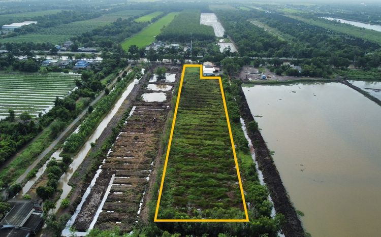 ขายด่วน ที่ดิน หนองเสือ ปทุมธานี ติดถนนเลียบคลอง10 จำนวน10ไร่ 2งาน 90ตร.วา รูปที่ 2