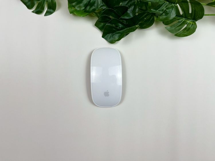Apple Magic Mouse (Lightning) 