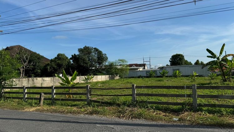 ขายที่ดินเปล่า 444ตร.ว. แม่ริม เชียงใหม่ รูปที่ 4