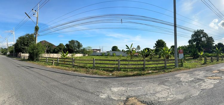 ขายที่ดินเปล่า 444ตร.ว. แม่ริม เชียงใหม่ รูปที่ 3