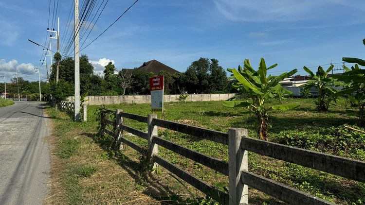 ขายที่ดินเปล่า 444ตร.ว. แม่ริม เชียงใหม่