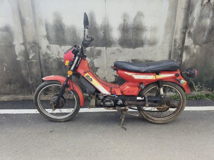 Belle 80