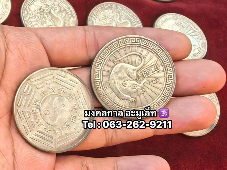 เหรียญนักษัตร รูปที่ 3