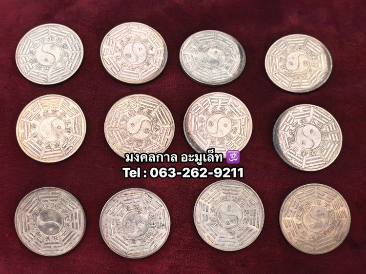 เหรียญนักษัตร รูปที่ 2