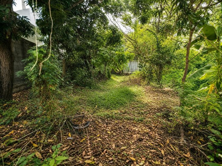 ขายที่ดิน 93 ตร.วา คูคต ลำลูกกา ใกล้ รพ.บีแคร์ เหมาะสร้างบ้านเดี่ยว