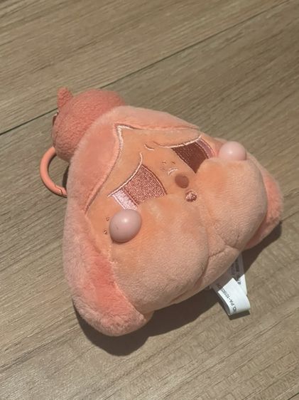 CRYBABY Tears Launch Project Series