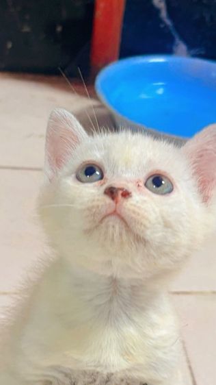 น้องหลุดจอง รูปที่ 3