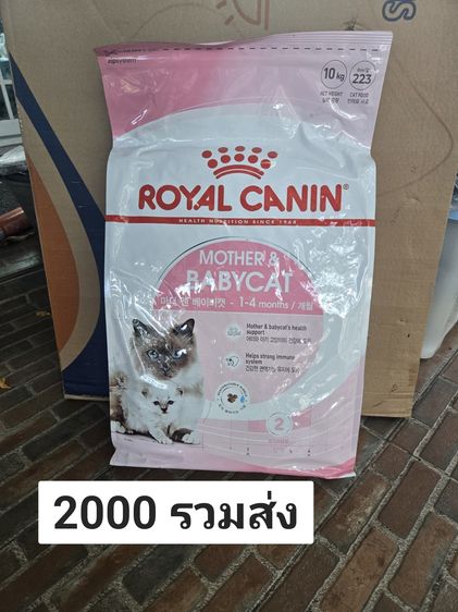 อาหารลูกแมว 