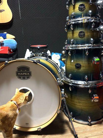 กลองชุด Mapex Armory สี Rainforest Burst สภาพใช้งาน ออกงานมาประมาณ 1 ปี ++