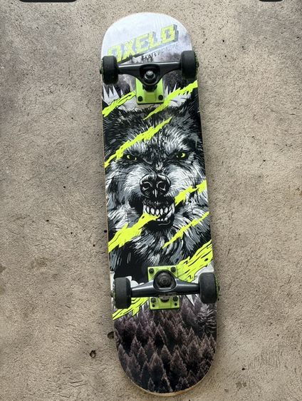 skate board รูปที่ 2