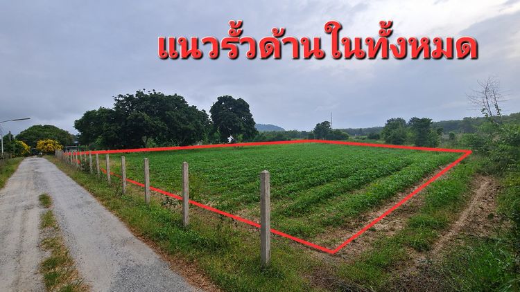 ขายที่ดินเปล่า เนื้อที่ 5 ไร่ 2 งาน 16.2 ตารางวา ทำเลดีมาก เดินทางสะดวก รูปที่ 3