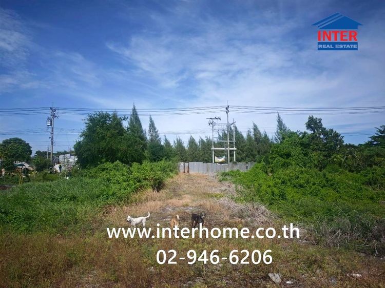 ที่ดินเปล่า 800 ตร.ว. ที่ดิน ใกล้โรงพยาบาลรามาธิบดีจักรีนฤบดินทร์ ถนนเลียบคลองส่งน้ำสุวรรณภูมิ ถนนเทพารักษ์ กม.19 แยกคลอง5 บางพลี  รูปที่ 2