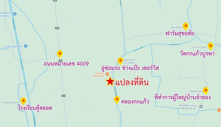 ขายที่ดินพร้อมสิ่งปลูกสร้าง 2-3-0 ไร่ หน้ากว้างติดถนน 47 เมตร อ.ลาดบัวหลวง  จ.พระนครศรีอยุธยา รูปที่ 4