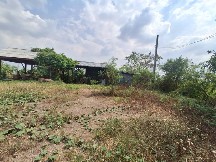 ขายที่ดินพร้อมสิ่งปลูกสร้าง 2-3-0 ไร่ หน้ากว้างติดถนน 47 เมตร อ.ลาดบัวหลวง  จ.พระนครศรีอยุธยา รูปที่ 3