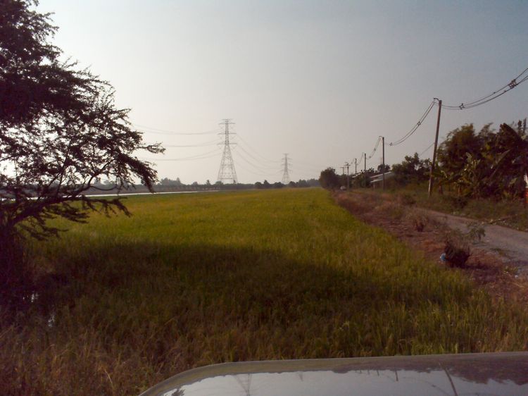 ที่ดิน อ.ไทรน้อย ติดคลอง ติดถนนคอนกรีต2 ด้าน ขายสุทธิเท่าราคาประเมิน รูปที่ 2