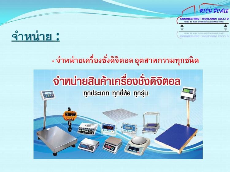 เครื่องชั่งรถบรรทุก รูปที่ 5